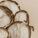 Cordyceps Mushroom