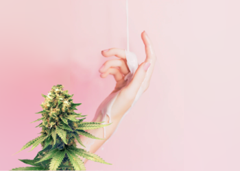 CBD in Skincare and the Community Impact