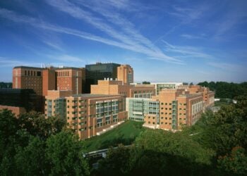 Neurodegenerative Research Rocked by Misconduct Scandal