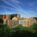 Neurodegenerative Research Rocked by Misconduct Scandal