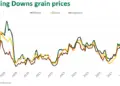 Grain Market Update: Corn, Soybeans Soar, Wheat Stumbles
