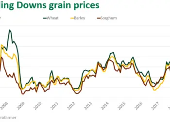 Grain Market Update: Corn, Soybeans Soar, Wheat Stumbles