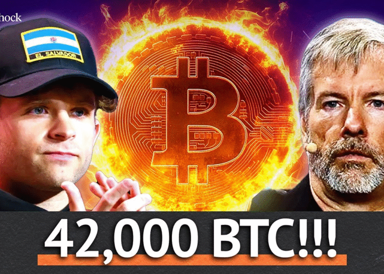Bitcoin Treasury War: Metaplanet vs. Semler Scientific